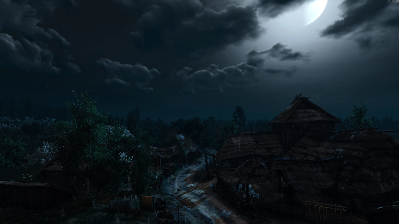 巫师3：狂猎 深夜村落壁纸合集