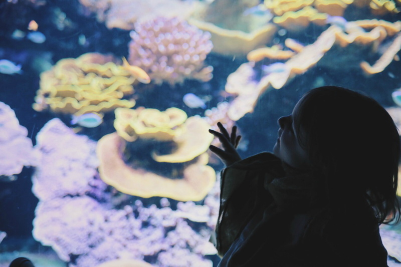 地中海深海奇遇！萌娃与海洋生灵的治愈壁纸合集