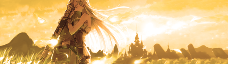 塞尔达传说旷野之息壁纸合集 林克双屏适配