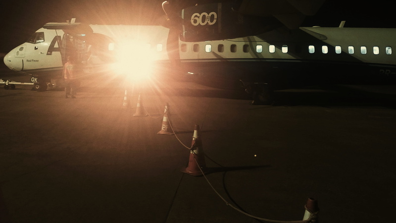 空中飞鸟与战机同框的2K自然壁纸