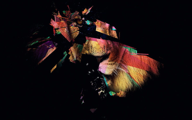 多色抽象黑背景狮子主题壁纸素材合集