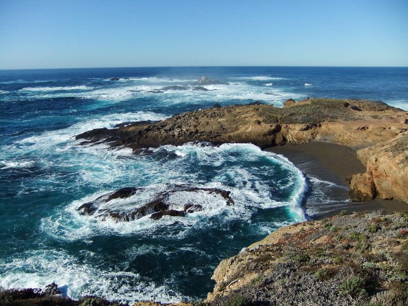 绝美海岸海狮湾壁纸