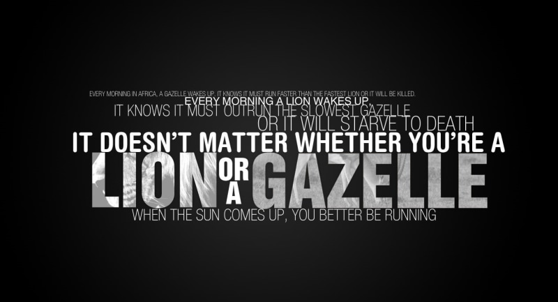 这款超带感的狮子主题字体海报壁纸合集