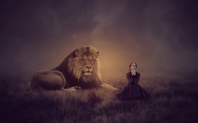 这组壁纸的灵魂，是黄昏下的母狮魔法