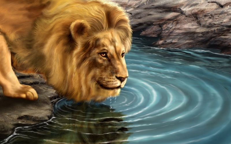 创意抽象雄狮艺术壁纸 高清1080P