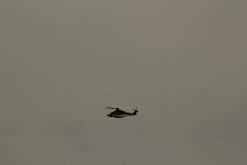 # 用微距镜头解锁苍蝇的「飞行直升机」秘密