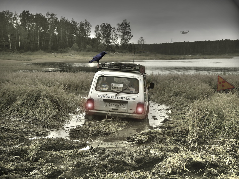 切尔诺贝利禁区里的渡鸦与荒废林地