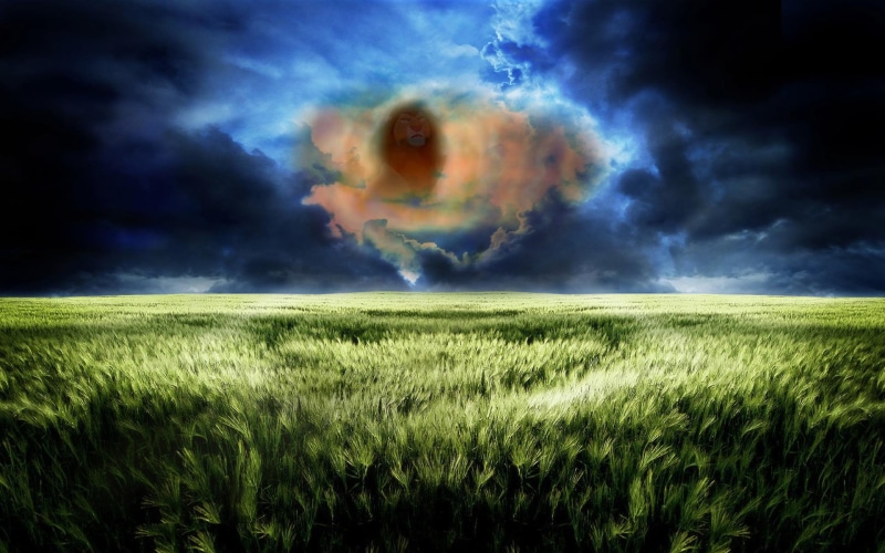 迪士尼狮子王辛巴雕像壁纸