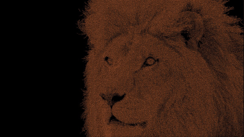 这张壁纸用简单线条勾勒出雄狮的ASCII艺术造型，还搭配了多张狮子相关的高清实拍图