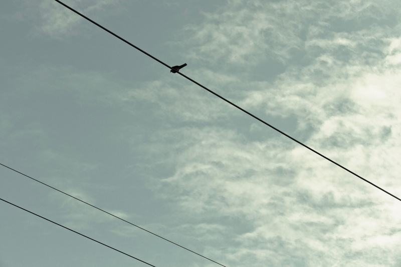 直升机高空俯拍的电线与飞鸟壁纸