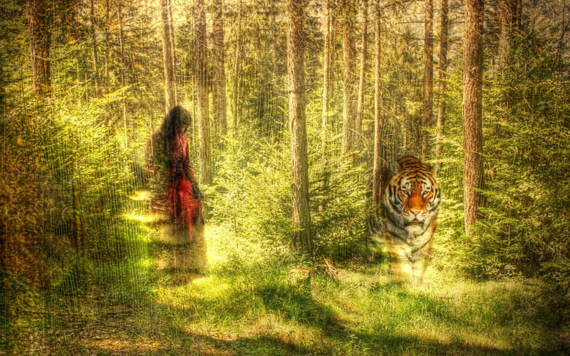 绝美的奇幻3D抽象风壁纸！森林里的虎与幻影女郎