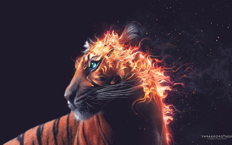 这张壁纸帅炸！猛虎捕食数字艺术高清图合集