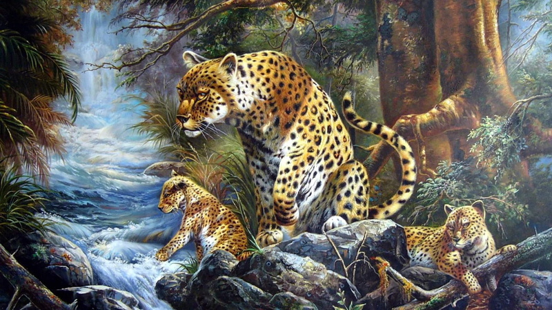 这里有野生猫科动物的绝美壁纸！