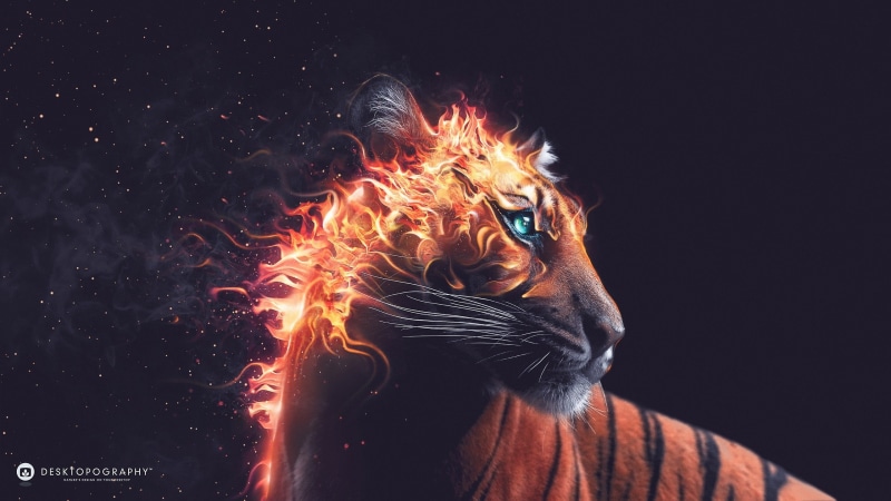 猛虎与火焰的数字艺术壁纸