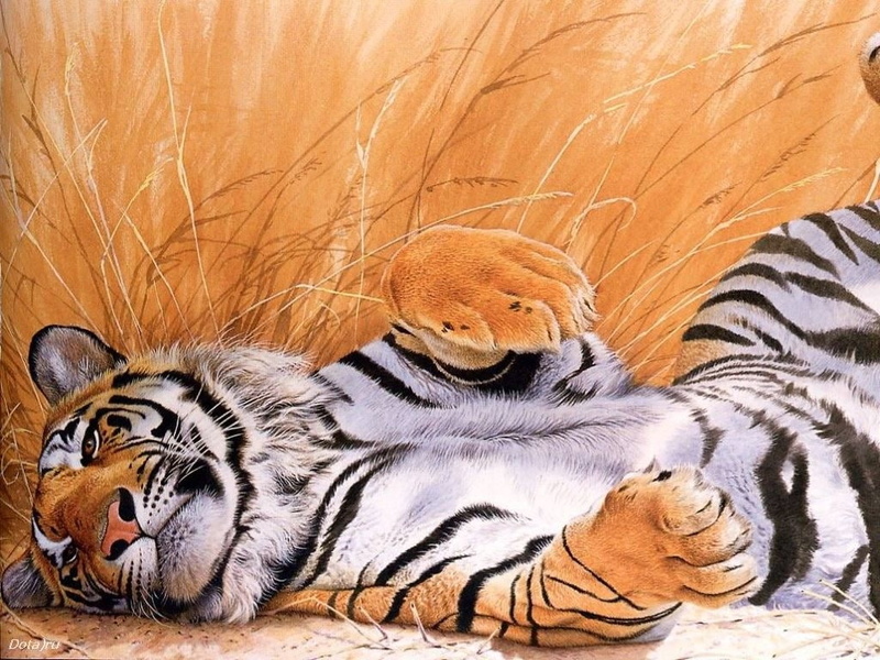 这组猛虎壁纸太绝了