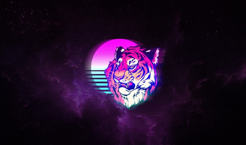极简主义老虎太空猫艺术壁纸