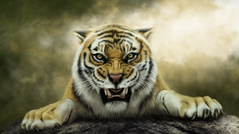 怒吼的猛虎艺术壁纸