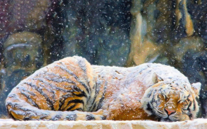冬日艺术画作壁纸合集：猫咪、雪花与猛虎的1080P高清图库