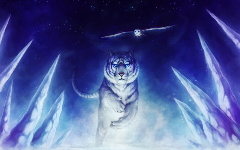 绝美白虎猫头鹰艺术壁纸 2K高清